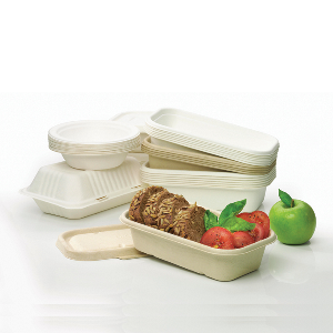 A rangle of sugcane rectangular containers, round containers, lids and bowls. Some shown with some bread and a green apple decoratively displayed